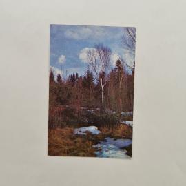 Карманный календарик 1982. Весна в лесу, фото природы, деревья и снег. Календарь винтажный