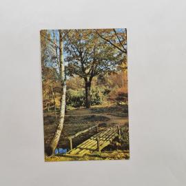 Карманный календарик СССР 1982. Природа, осенний лес, мостик через ручей. Советский календарь