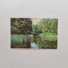 Карманный календарик СССР 1979. Природа, заросший пруд и деревья. Советский календарь