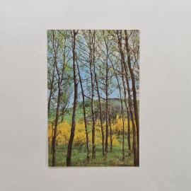 Карманный календарик 1987. Весенний пейзаж с цветущими деревьями и зелеными полями. Календарь винтаж