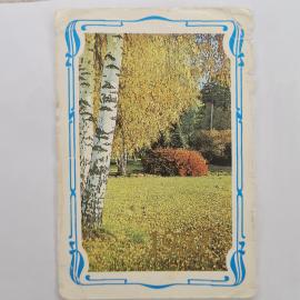 Карманный календарик 1987. Красивые осенние пейзажи с березами и кустами. Календарь винтажный