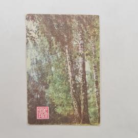 Карманный календарик 1987. Берёзовая роща на фоне природы. Календарь винтажный