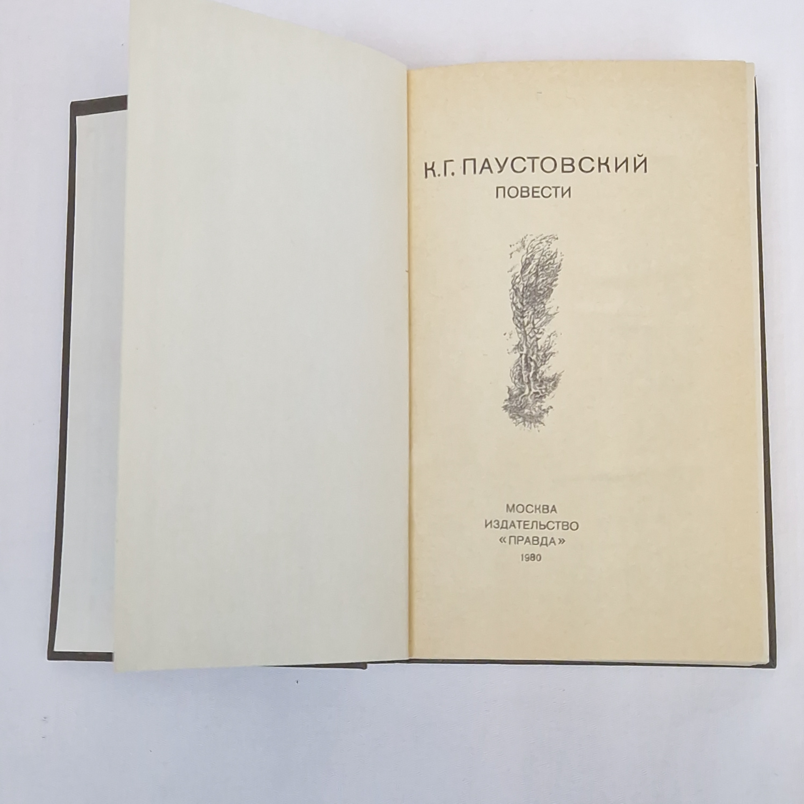Картинка 4