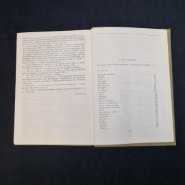 Картинка 8