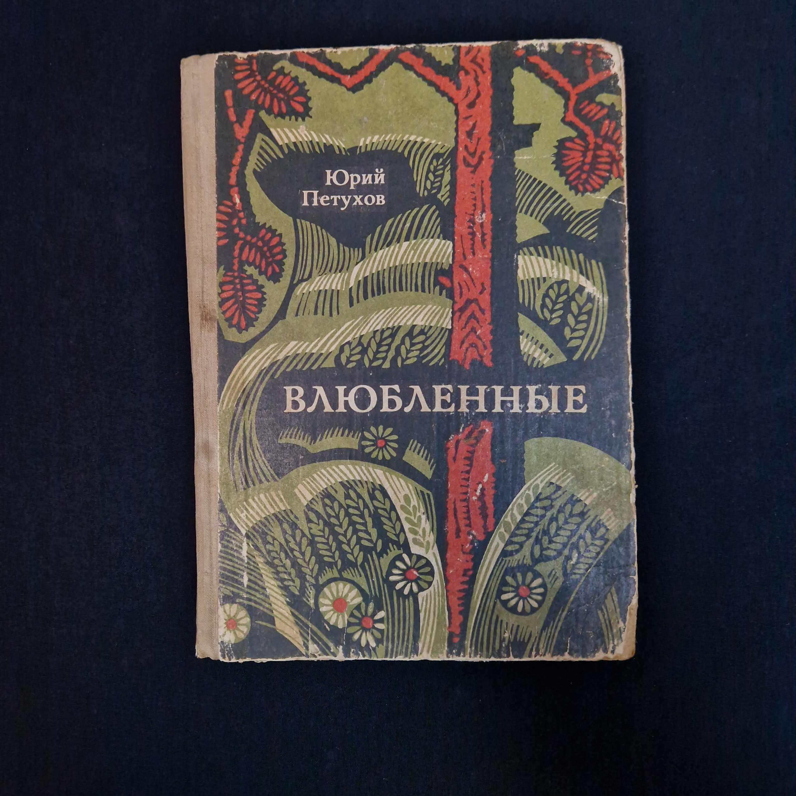 Картинка 1