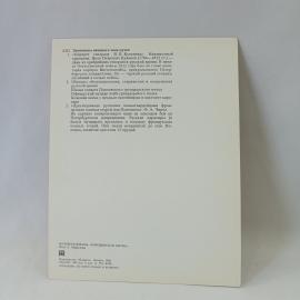 Картинка 2