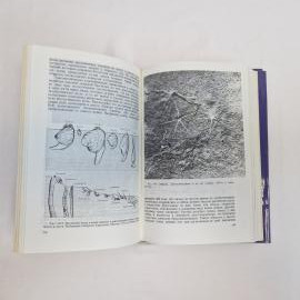 Картинка 7