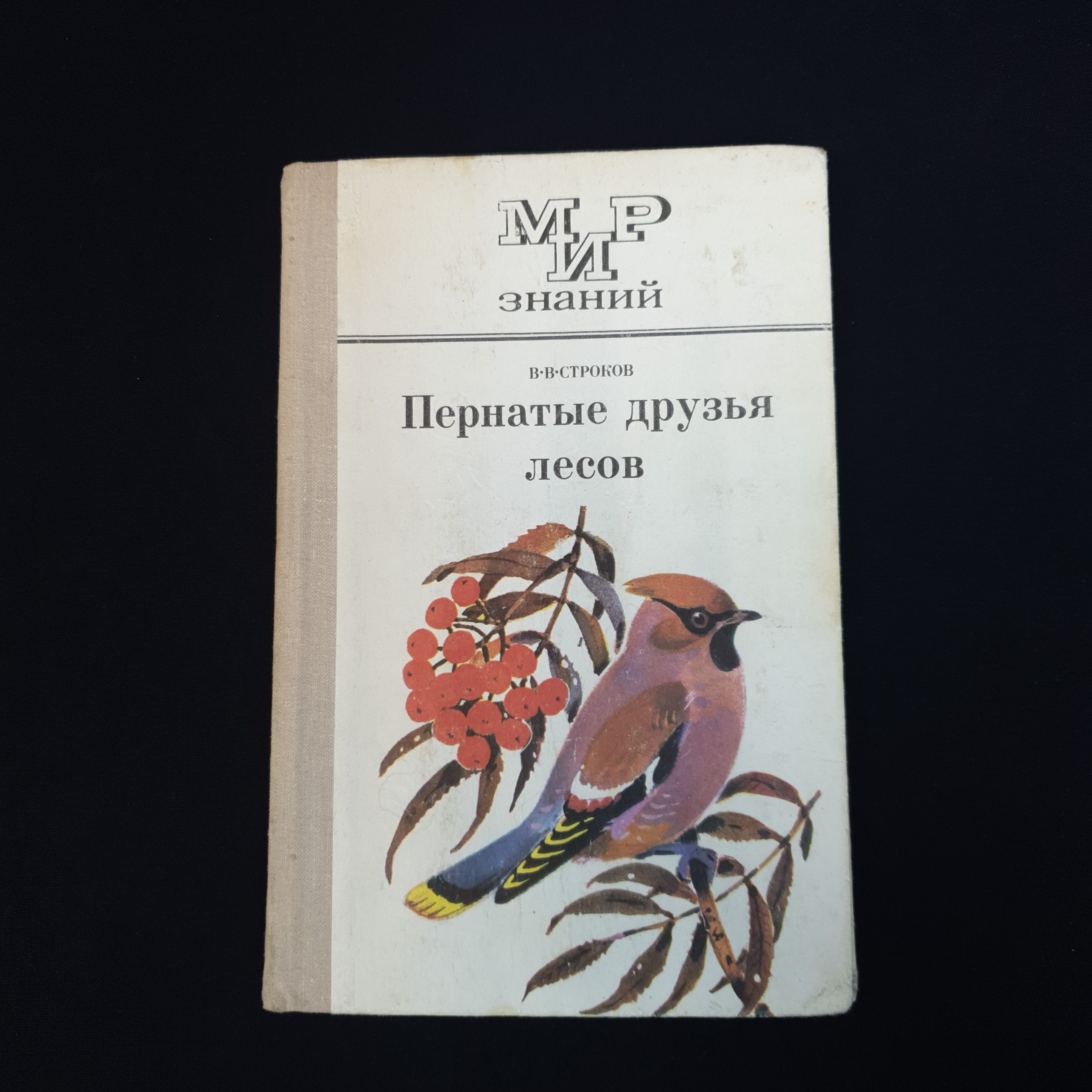 Картинка 1