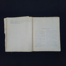 Картинка 4