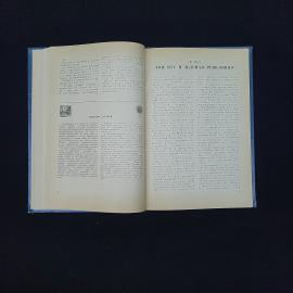 Картинка 5
