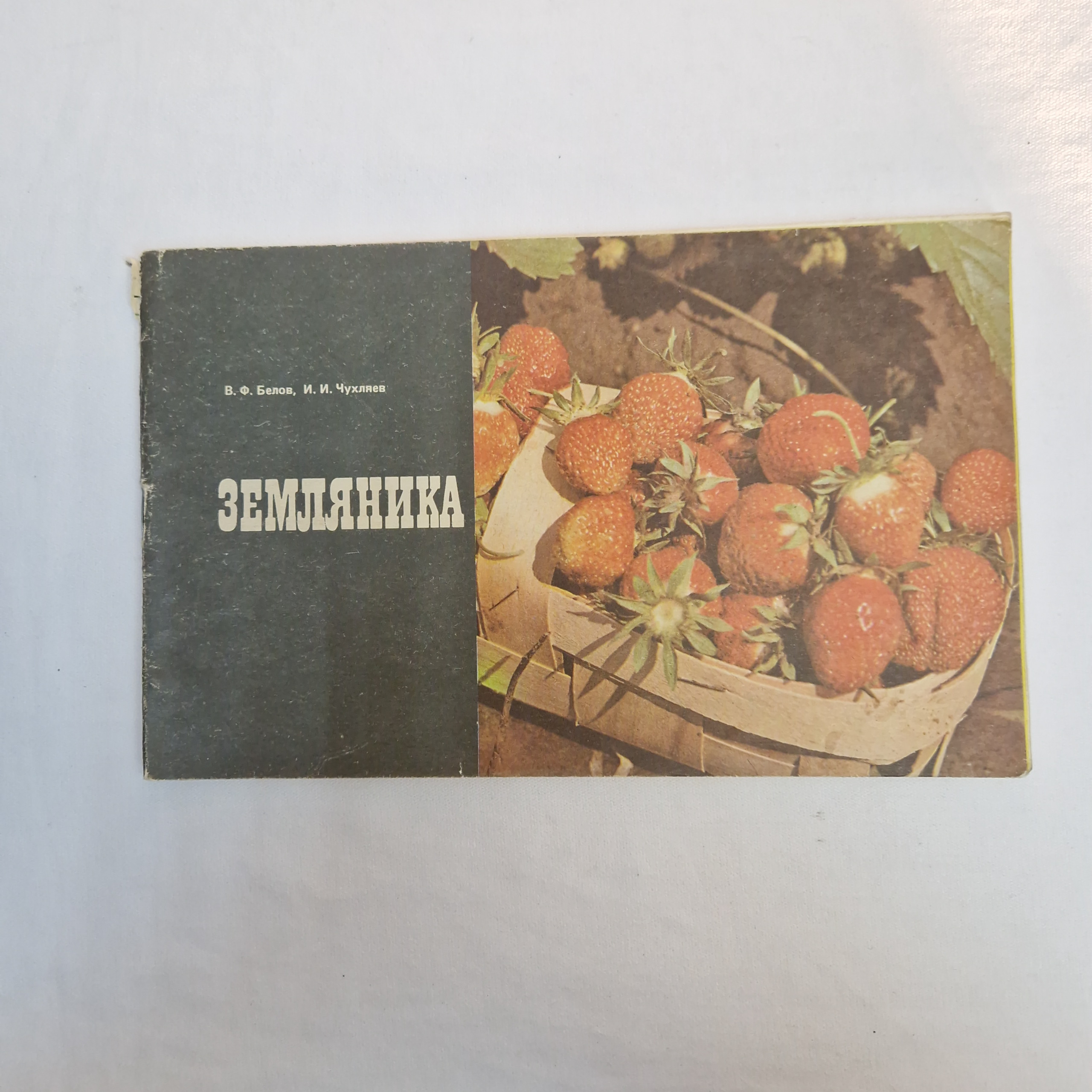 Картинка 1