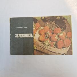 Белова, Чухлев. Земляника. Книга СССР, сельское хозяйство