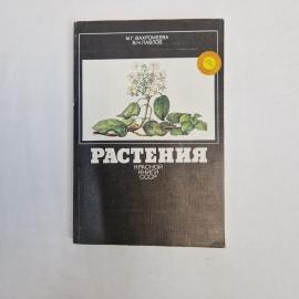 Картинка 1