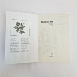 Картинка 4