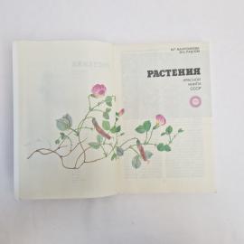 Картинка 5