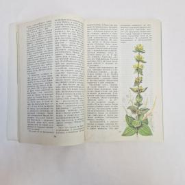 Картинка 6