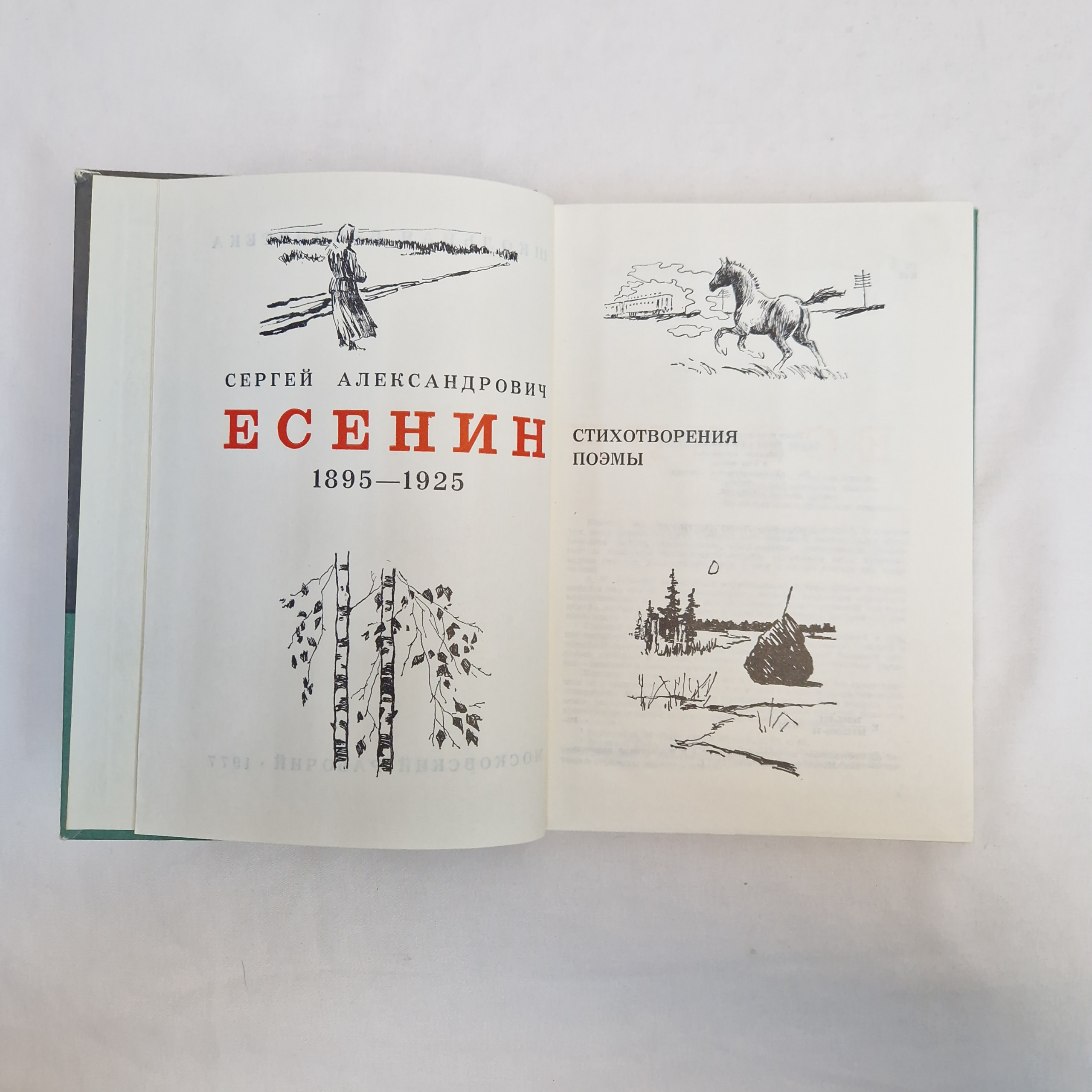 Картинка 4