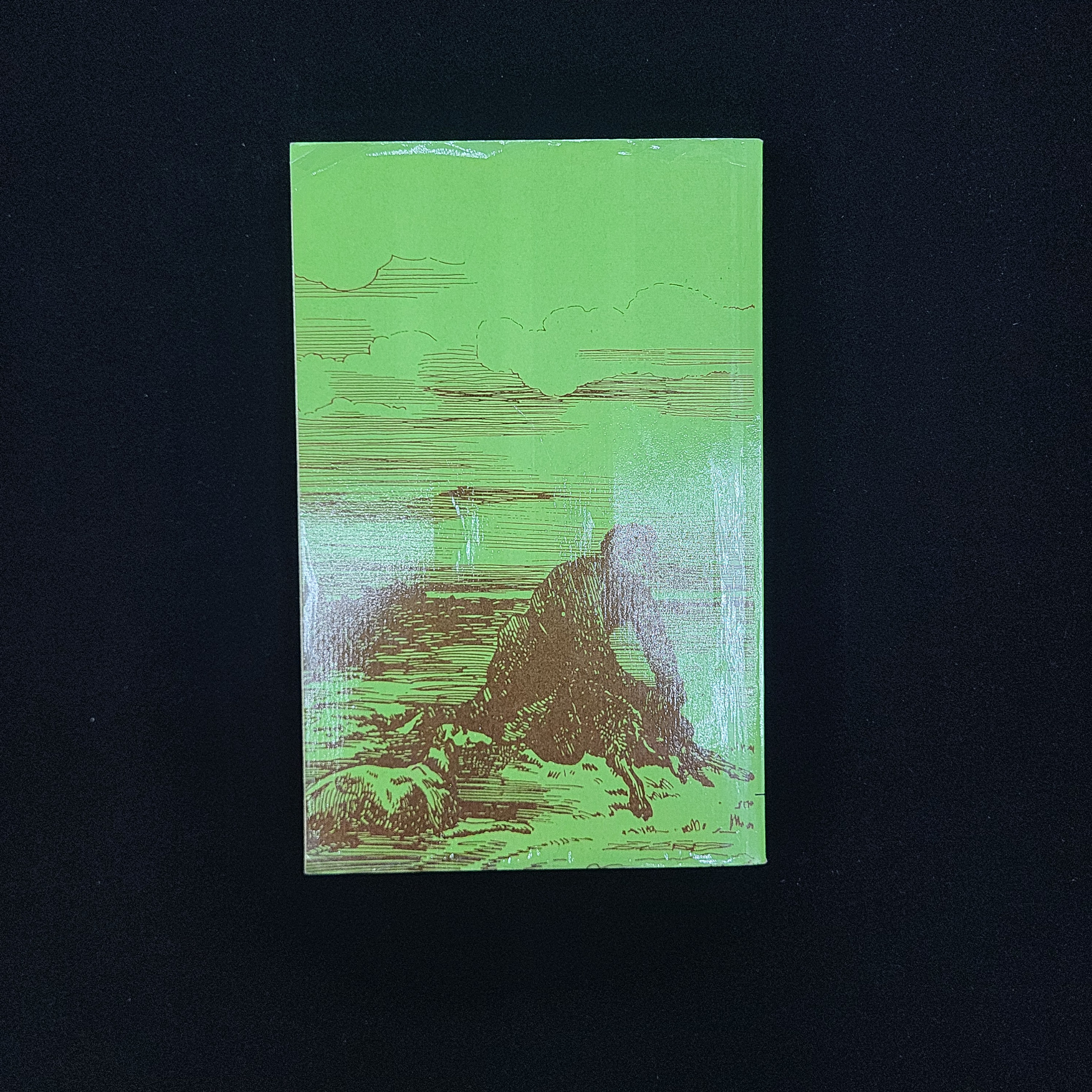 Картинка 2