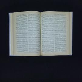 Картинка 4