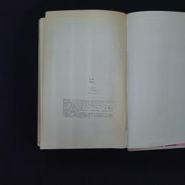 Картинка 6