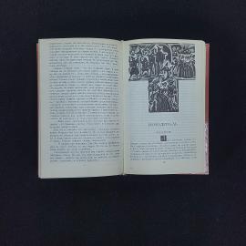 Картинка 4