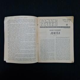 Картинка 3