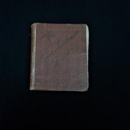 Картинка 1