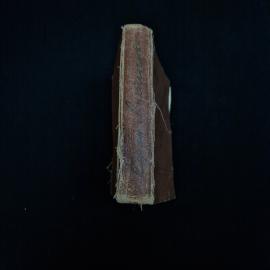 Картинка 2
