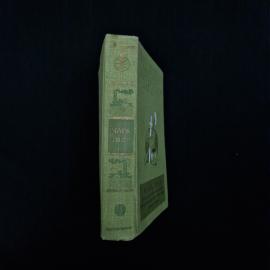 Картинка 2