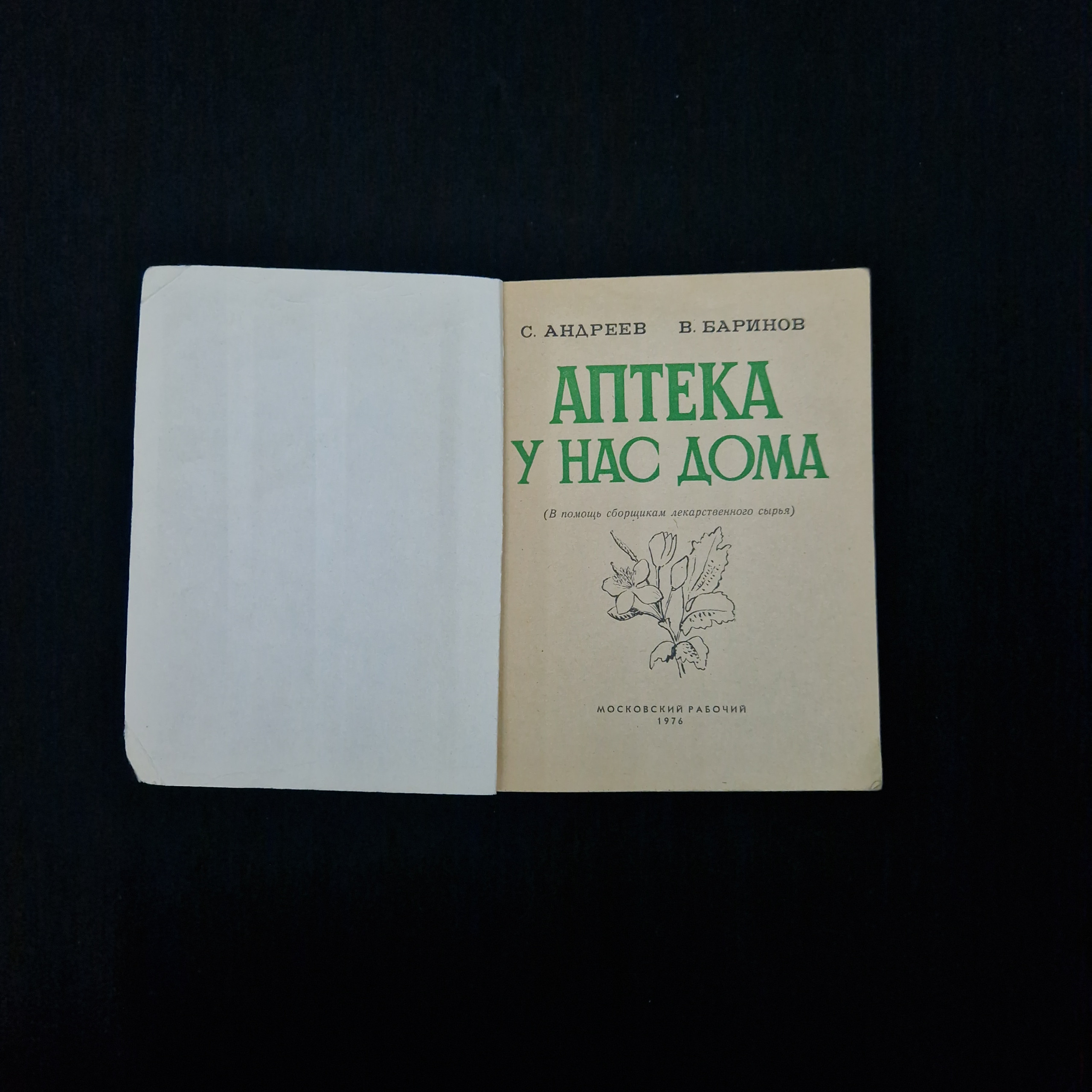 Картинка 3