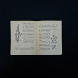 Картинка 5