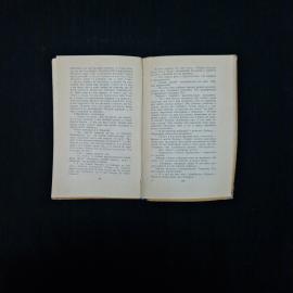 Картинка 5
