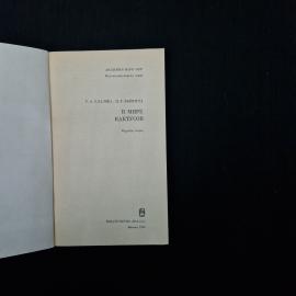 Картинка 4