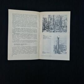 Картинка 6