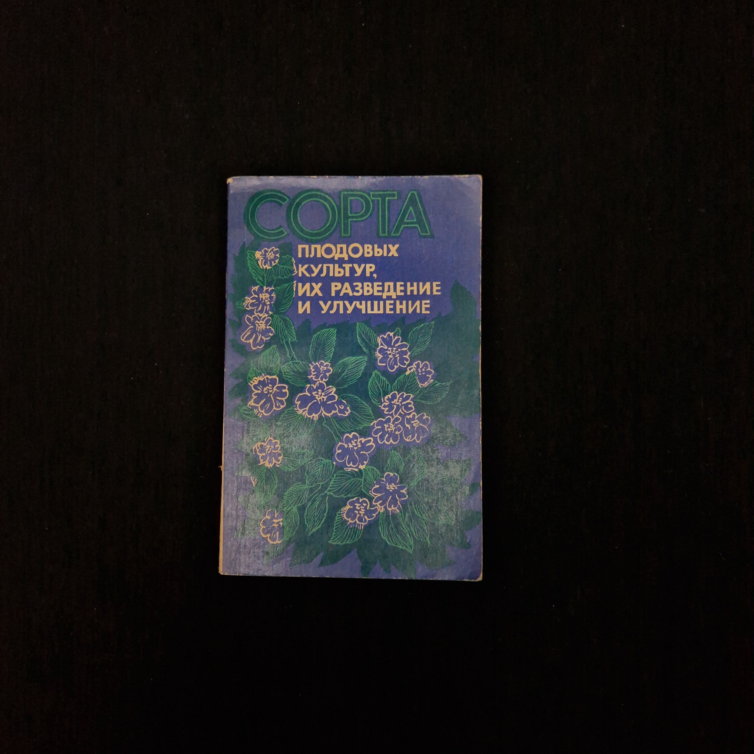 Картинка 1