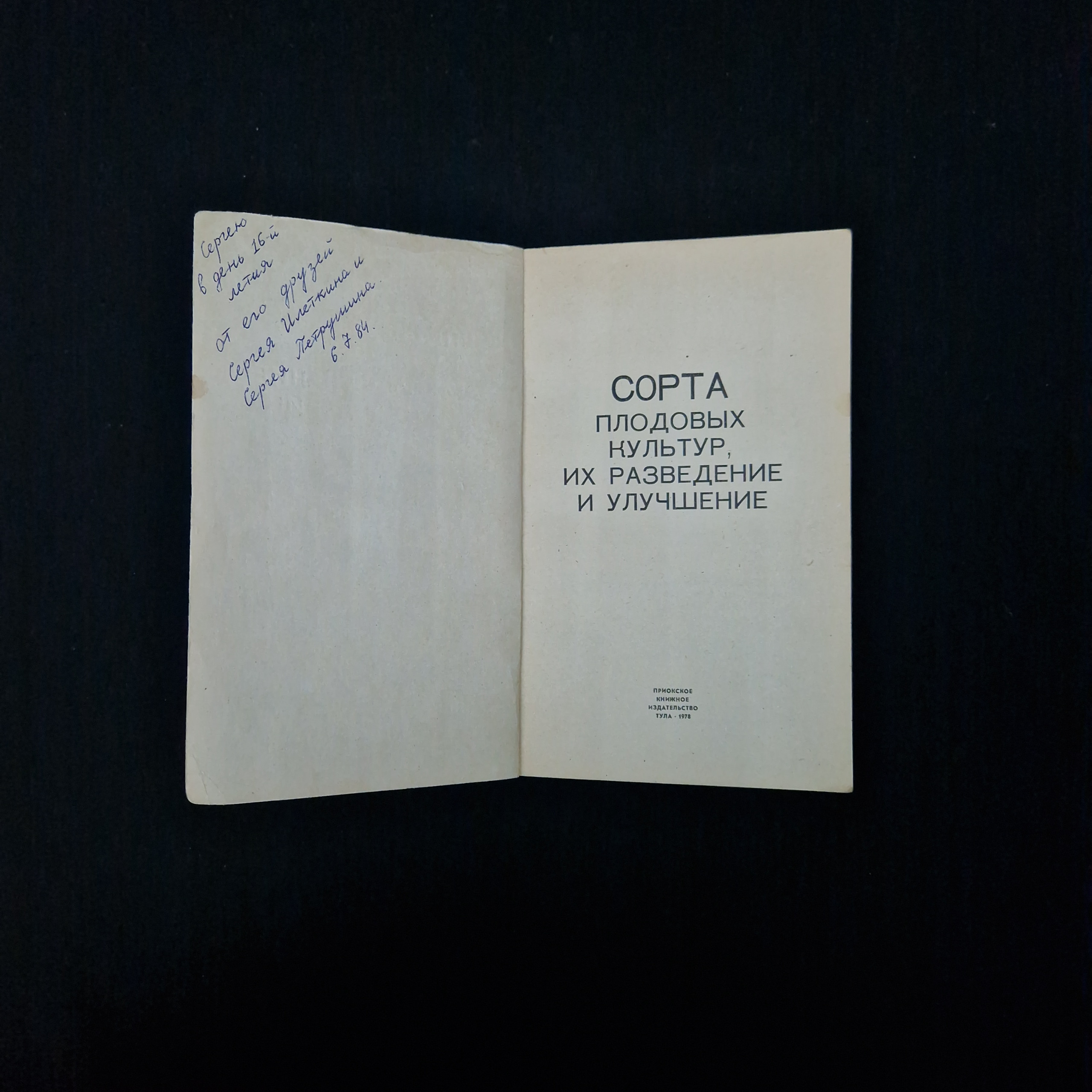 Картинка 4