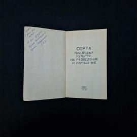 Картинка 4