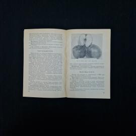 Картинка 6