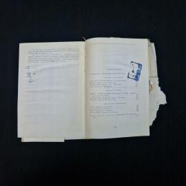 Картинка 6