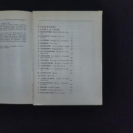 Картинка 5