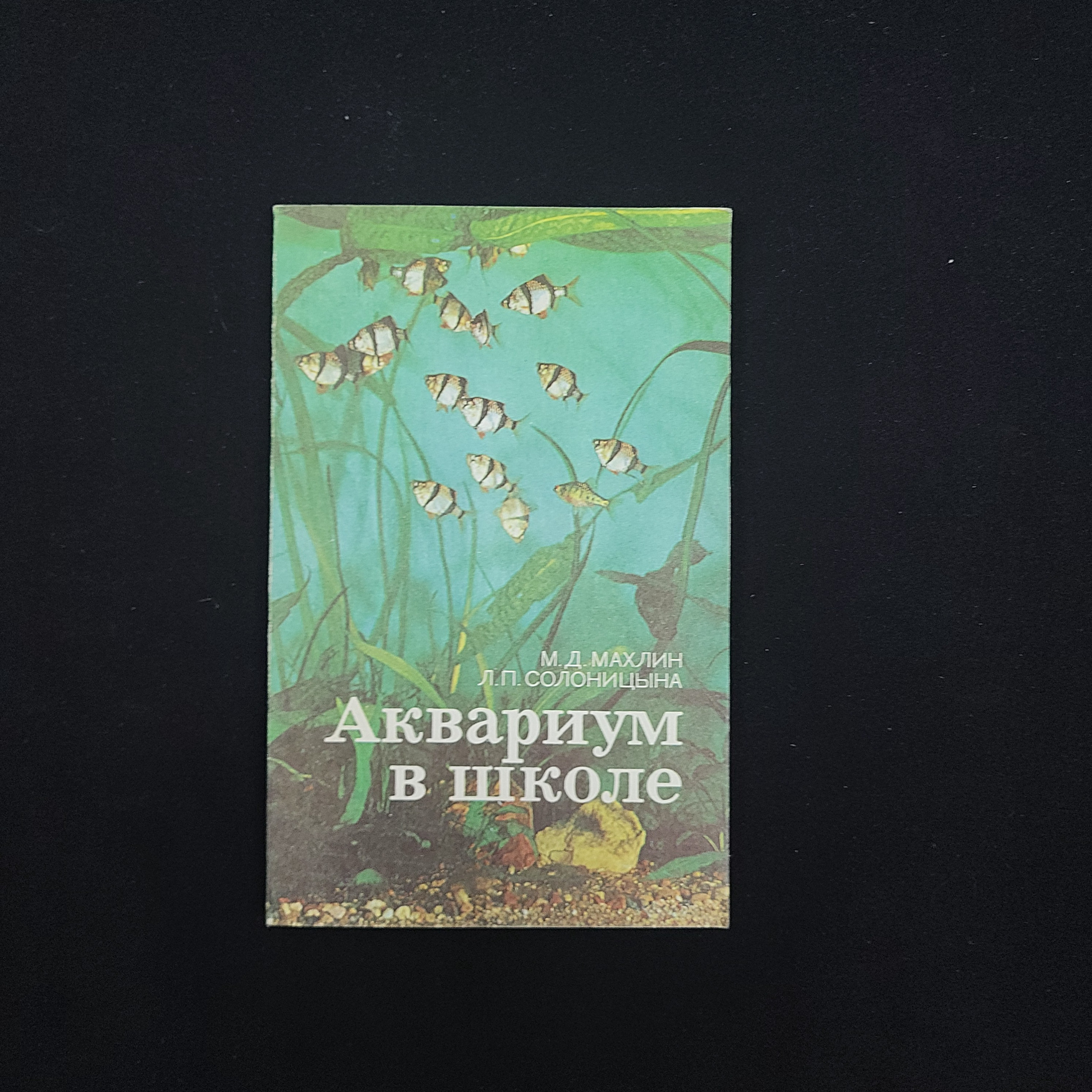 Картинка 1