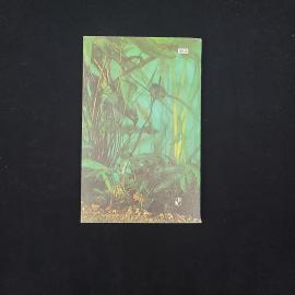 Картинка 2