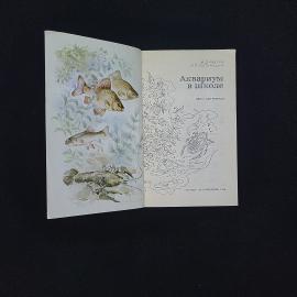 Картинка 3