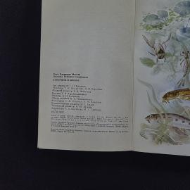 Картинка 6