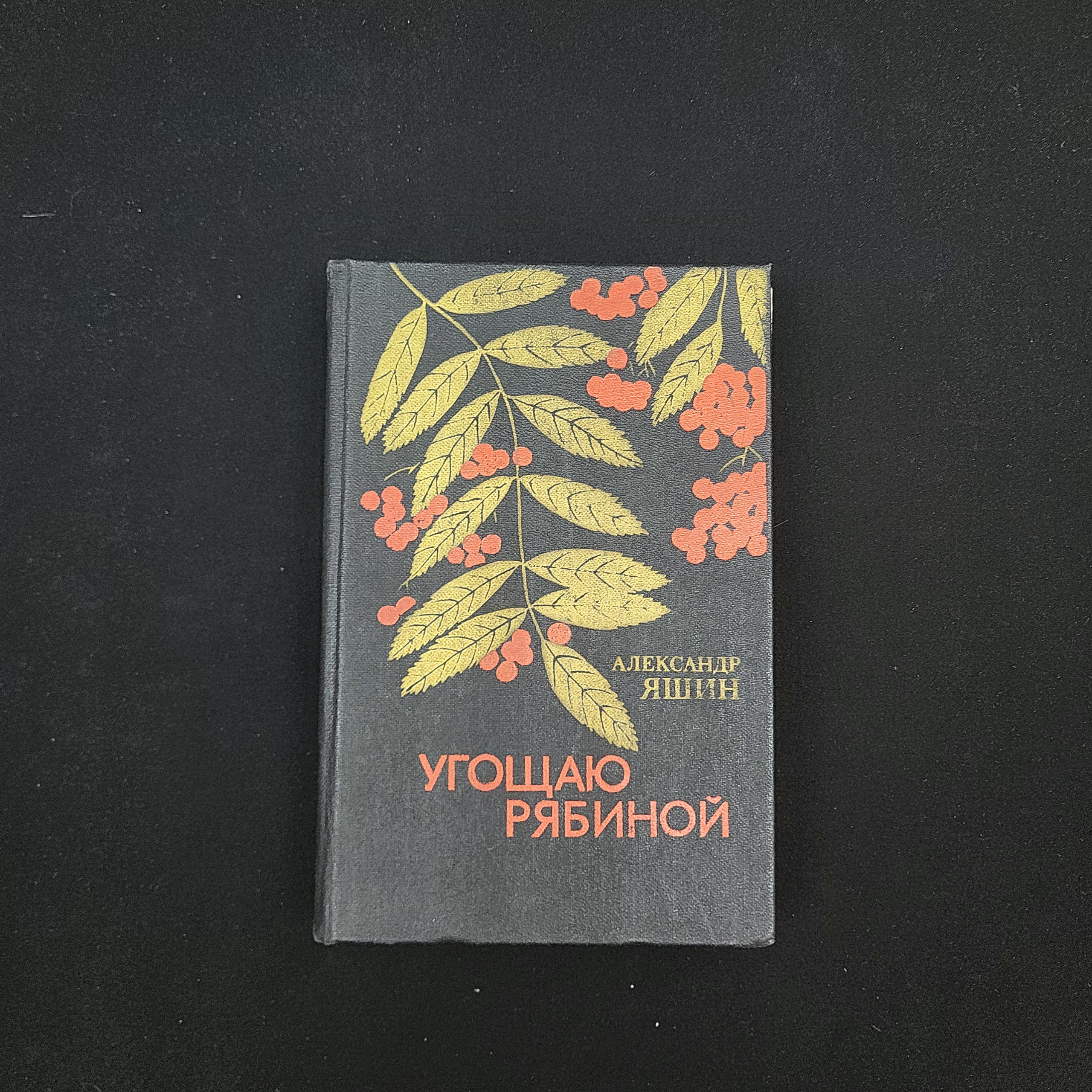 Картинка 1