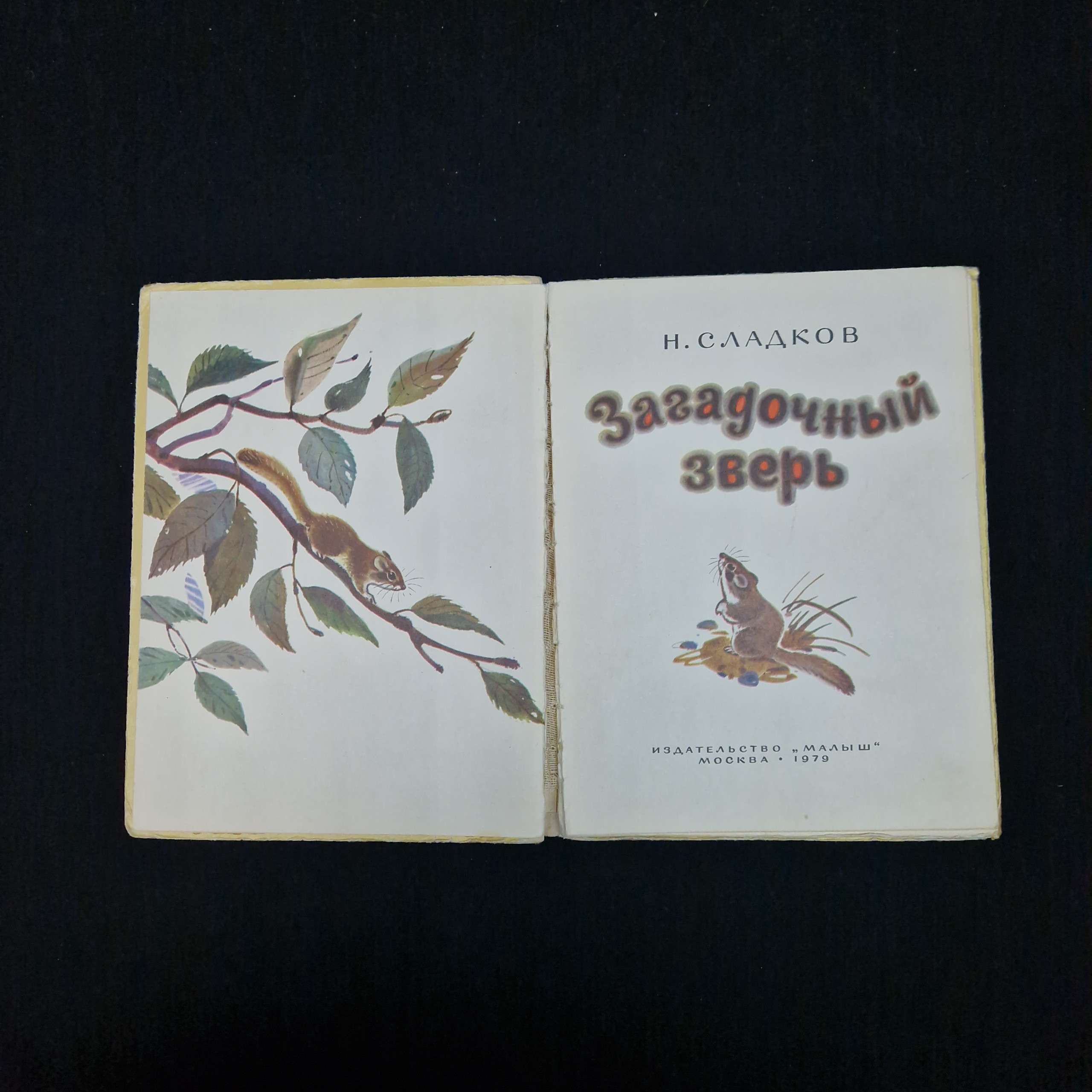 Картинка 4