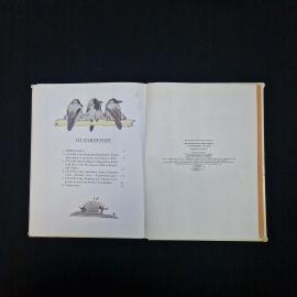 Картинка 6