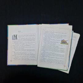 Картинка 5