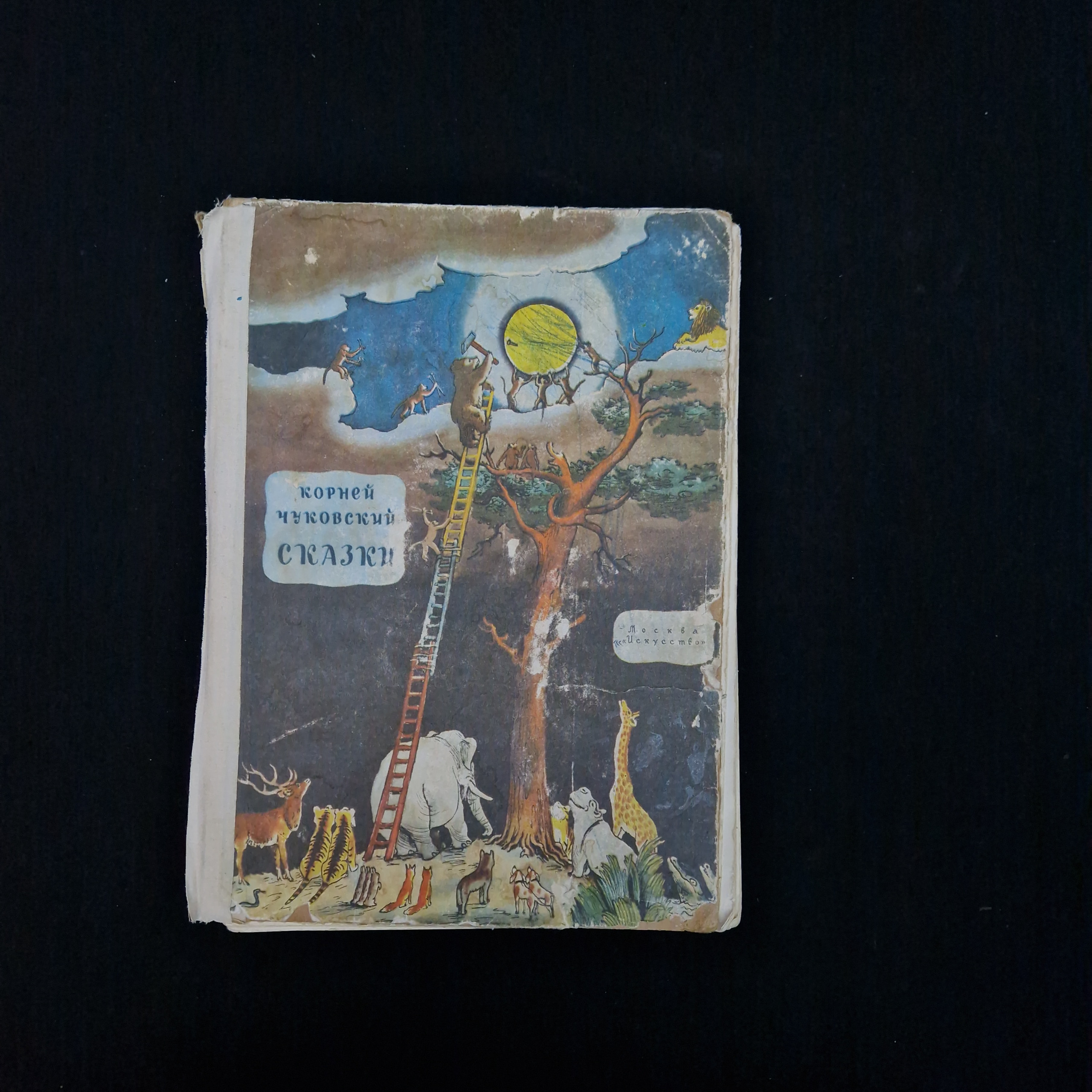Картинка 1