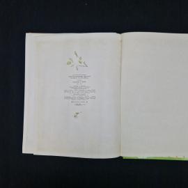 Картинка 7